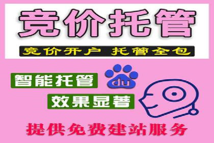 案例分析：竞价推广实战中的困境与突破